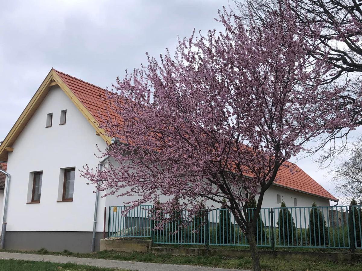 Hotel Fazekas Vendeghaz Balatonkeresztúr Exterior foto